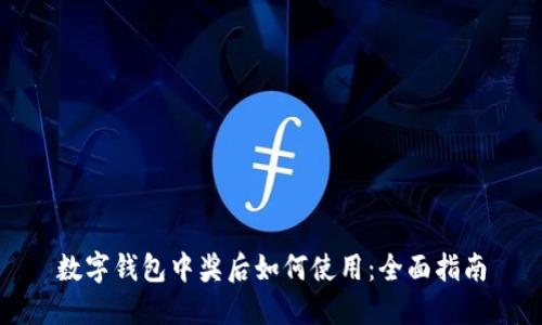 数字钱包中奖后如何使用：全面指南