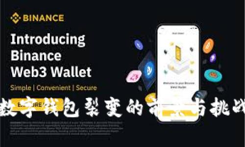 建行数字钱包裂变的前景与挑战分析