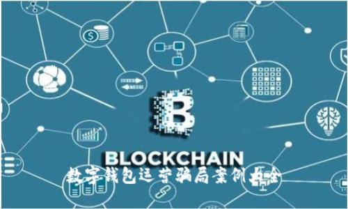 数字钱包运营骗局案例大全