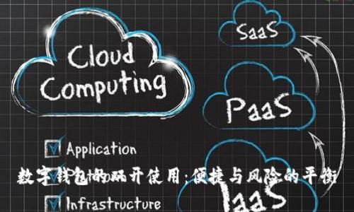 数字钱包的双开使用：便捷与风险的平衡