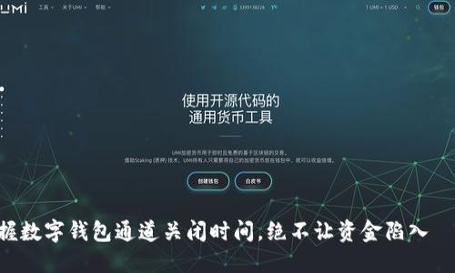 掌握数字钱包通道关闭时间，绝不让资金陷入囧境！