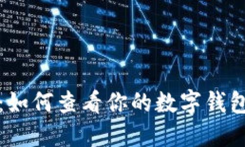 轻松掌控：如何查看你的数字钱包支出明细