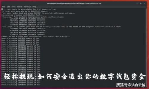 轻松提现：如何安全退出你的数字钱包资金