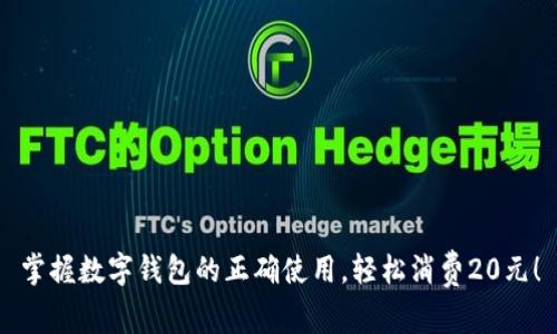 掌握数字钱包的正确使用，轻松消费20元！
