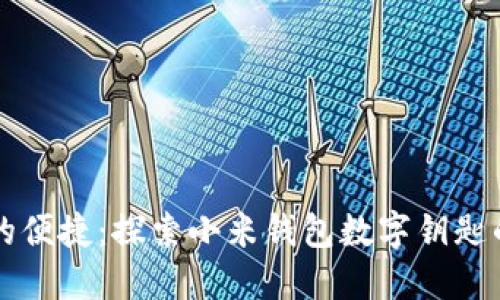 解锁生活的便捷：探索小米钱包数字钥匙的无限可能