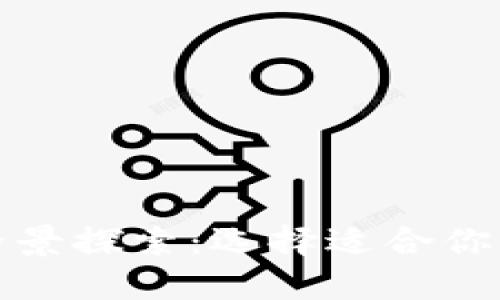 数字钱包全景探索：选择适合你的虚拟钱包