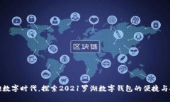 拥抱数字时代，探索2021罗湖数字钱包的便捷与安