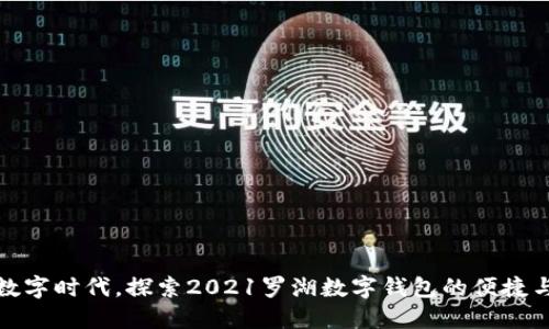 拥抱数字时代，探索2021罗湖数字钱包的便捷与安全