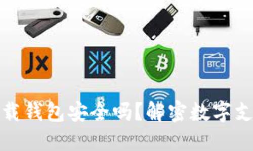 数字信用卡下载钱包安全吗？解密数字支付的安全防护