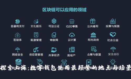 探索上海：数字钱包使用最频繁的地点与场景