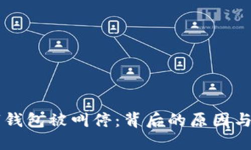 清华数字钱包被叫停：背后的原因与未来展望