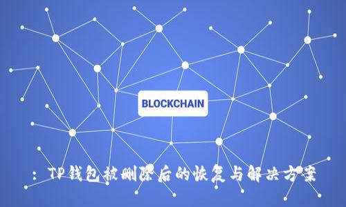 : TP钱包被删除后的恢复与解决方案