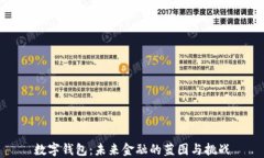 数字钱包：未来金融的蓝图与挑战