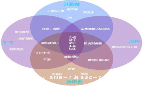 理解TP钱包: BNB-1与BSC-1的深度解析