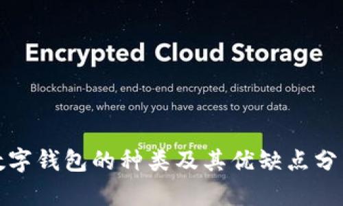 数字钱包的种类及其优缺点分析