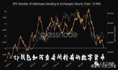 tp钱包如何查看所持有的数