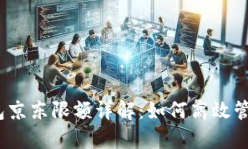 数字钱包京东限额详解：如何高效管理交易？
