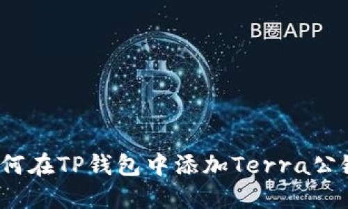 如何在TP钱包中添加Terra公链？