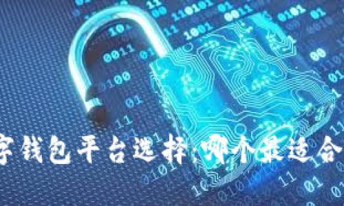 数字钱包平台选择：哪个最适合你？
